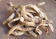 White (Prosopis alba) mesquite bean pulp flour 44 oz